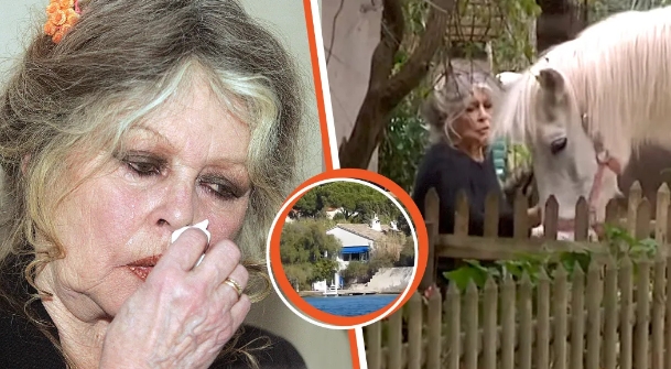 Longtemps rejetée par sa famille, à 88 ans, Brigitte Bardot se console avec ses animaux dans sa maison de Saint-Tropez et prépare son décès
